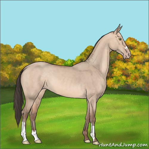 Horse Color:Amber Champagne Dun 