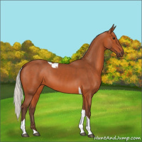 Horse Color:Silver Bay Tobiano 