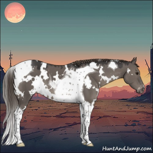 Horse Color:White Spotted Smoky Grullo Tobiano Appaloosa 