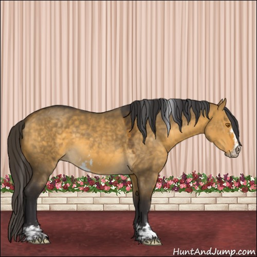 Horse Color:Buckskin Dun Sabino 