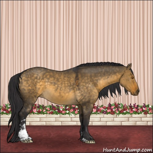 Horse Color:Buckskin Dun Sabino 