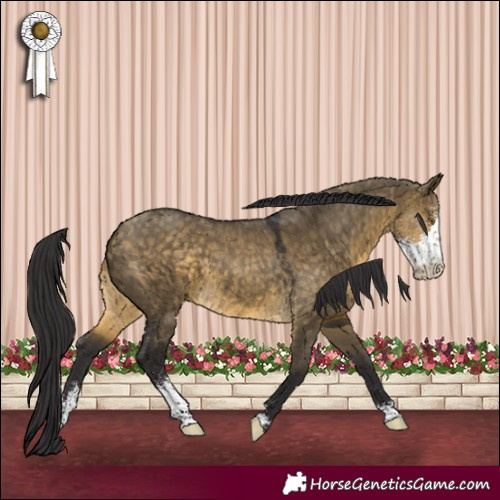 Horse Color:Buckskin Dun Sabino 