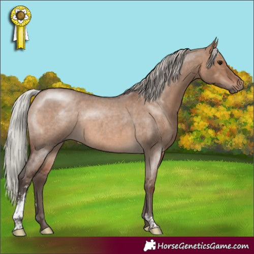 Horse Color:Silver Brown Roan Dun Sabino