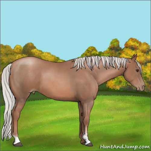 Horse Color:Silver Black Pearl Sabino 
