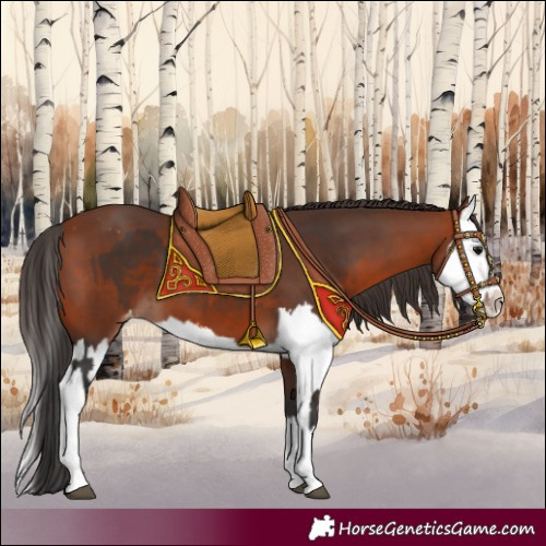 Horse Color:Brown Sabino Splash Appaloosa  and Bay Sabino Splash Appaloosa 