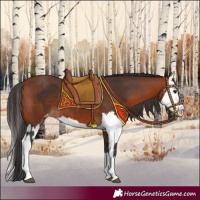 Horse Color:Brown Sabino Splash Appaloosa  and Bay Sabino Splash Appaloosa 
