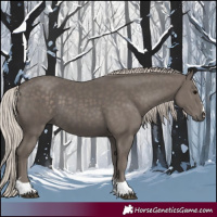 Horse Color:Silver Black 