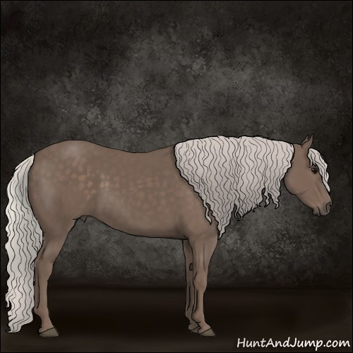Horse Color:Silver Black 