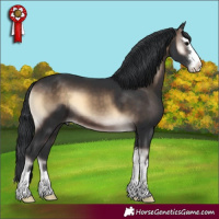 Horse Color:Brown Onyx 