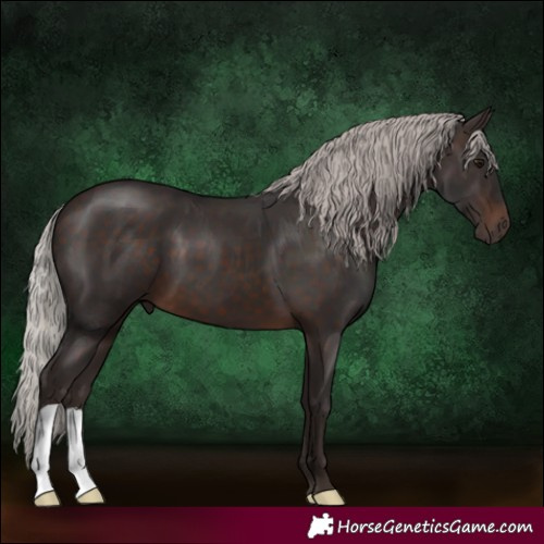 Horse Color:Silver Brown 