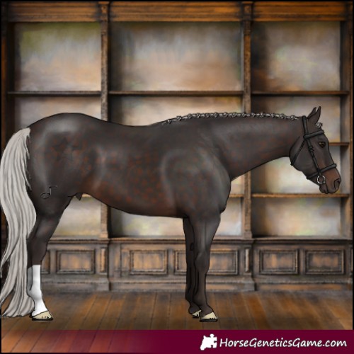 Horse Color:Silver Brown 