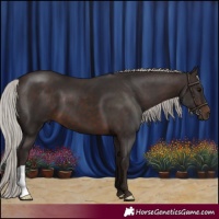 Horse Color:Silver Brown 