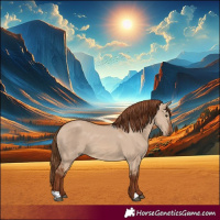 Horse Color:Red Dun 