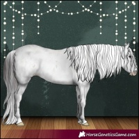 Horse Color:Brown Dun Sabino Rabicano Brindle