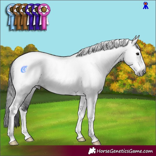 Horse Color:Gray Brown Sabino Tobiano Rabicano 