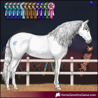Horse Color:Gray Brown Sabino Tobiano Rabicano 