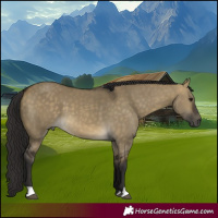 Horse Color:Buckskin Dun
