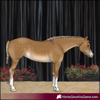 Horse Color:Chocolate Palomino Dun 