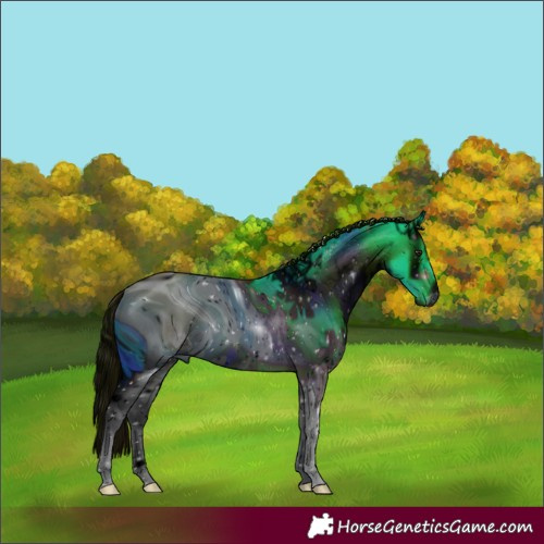 Horse Color:ERROR: UNKNOWN ANOMALY