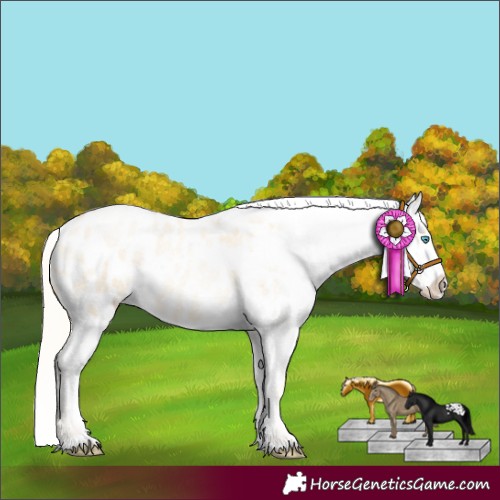 Horse Color:Palomino Roan Pearl Blanket 