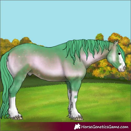 Horse Color:Watercolor Chocolate Bay Onyx 