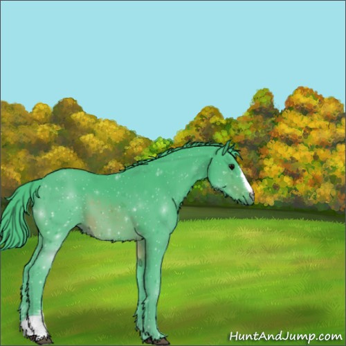Horse Color:Watercolor Chocolate Brown 