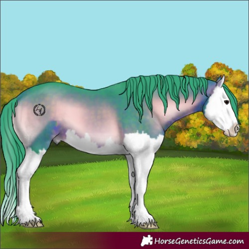 Horse Color:Watercolor Brown Onyx Splash 