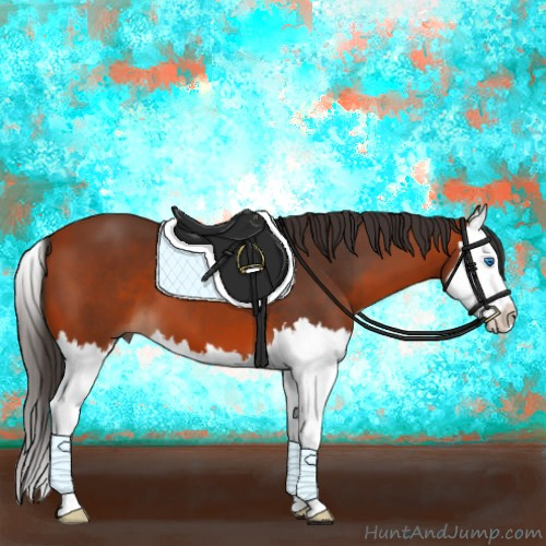 Horse Color:Bay Splash 