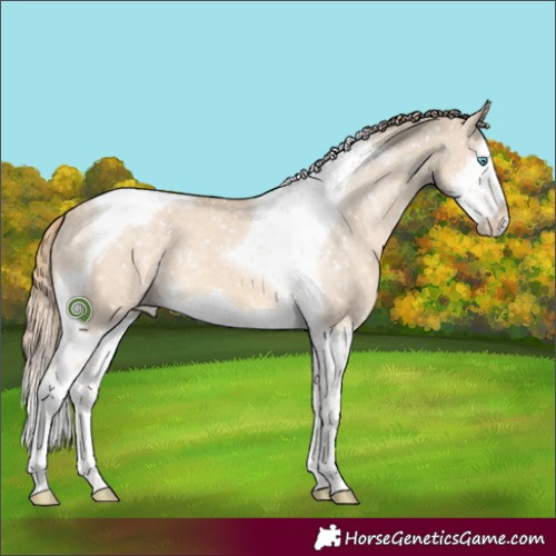 Horse Color:Perlino Dun Splash Tobiano Appaloosa 