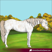 Horse Color:Smoky Creme Sabino  and Smoky Creme Sabino 