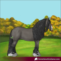 Horse Color:Grullo