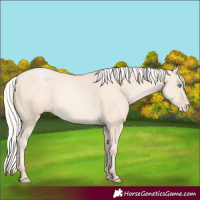Horse Color:Silver Amber Cream Champagne Pearl 