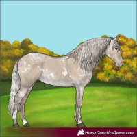 Horse Color:White Spotted Silver Grullo Ice Varnish 