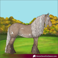Horse Color:White Spotted Silver Grullo Varnish 