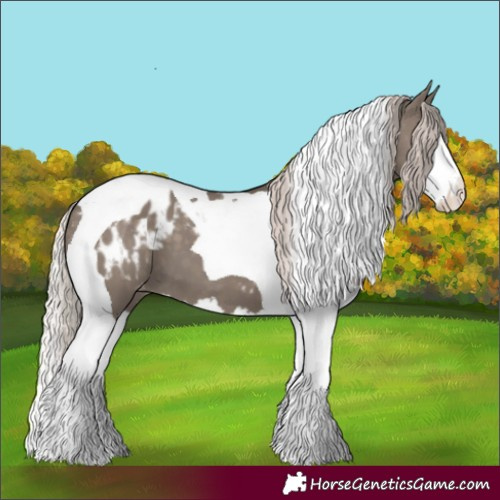 Horse Color:Silver Grullo Splash Tobiano Blanket