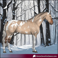 Horse Color:White Spotted Silver Brown Dun Tobiano 
