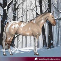 Horse Color:White Spotted Silver Brown Dun Tobiano 