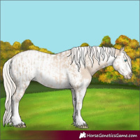 Horse Color:Chocolate Palomino Pearl Dun Tobiano Frame  and Chocolate Palomino Pearl Dun Splash Tobiano Frame 