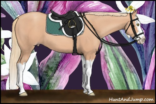 Horse Color:Gold Champagne Splash 