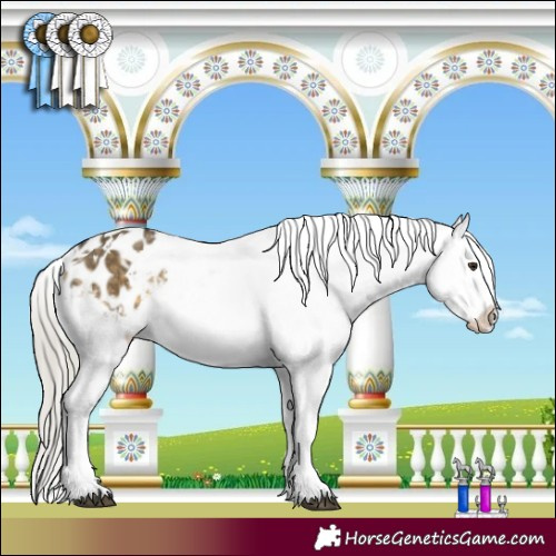 Horse Color:White Spotted Silver Buckskin Dun Tobiano Varnish 