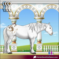 Horse Color:White Spotted Silver Buckskin Dun Tobiano Varnish 