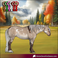 Horse Color:White Spotted Silver Bay Dun