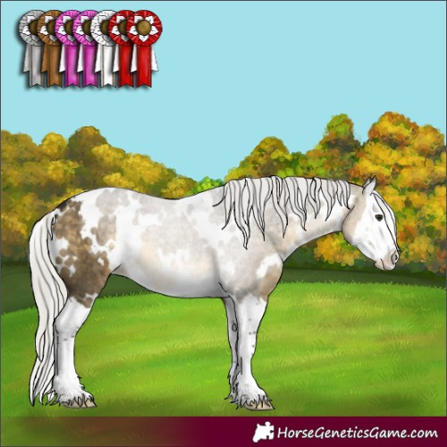 Horse Color:White Spotted Silver Buckskin Dun Splash 