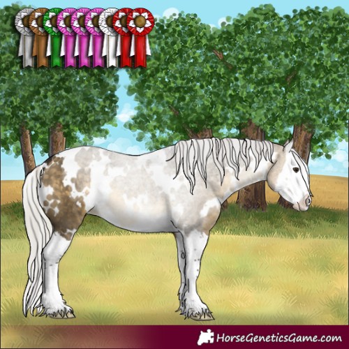Horse Color:White Spotted Silver Buckskin Dun Splash 
