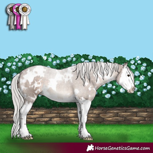 Horse Color:White Spotted Silver Bay Dun Splash 