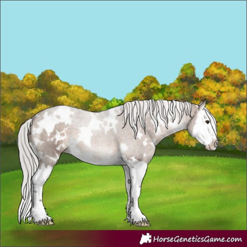 Horse Color:White Spotted Silver Bay Dun Splash 