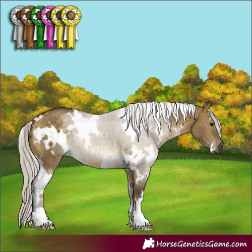 Horse Color:White Spotted Silver Buckskin Dun 