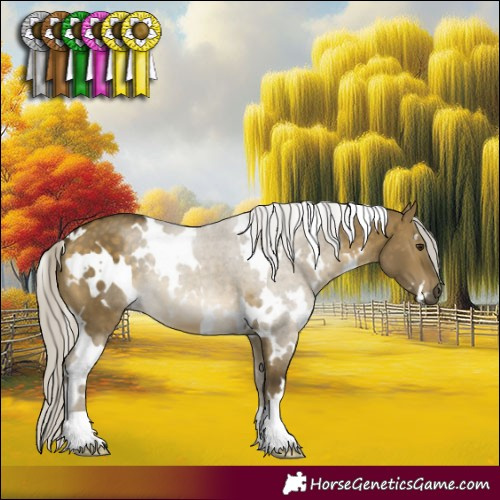 Horse Color:White Spotted Silver Buckskin Dun 