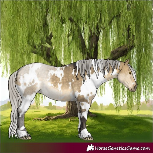 Horse Color:White Spotted Silver Buckskin Dun 
