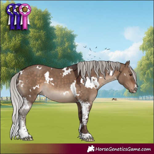Horse Color:White Spotted Silver Brown Dun Sabino 